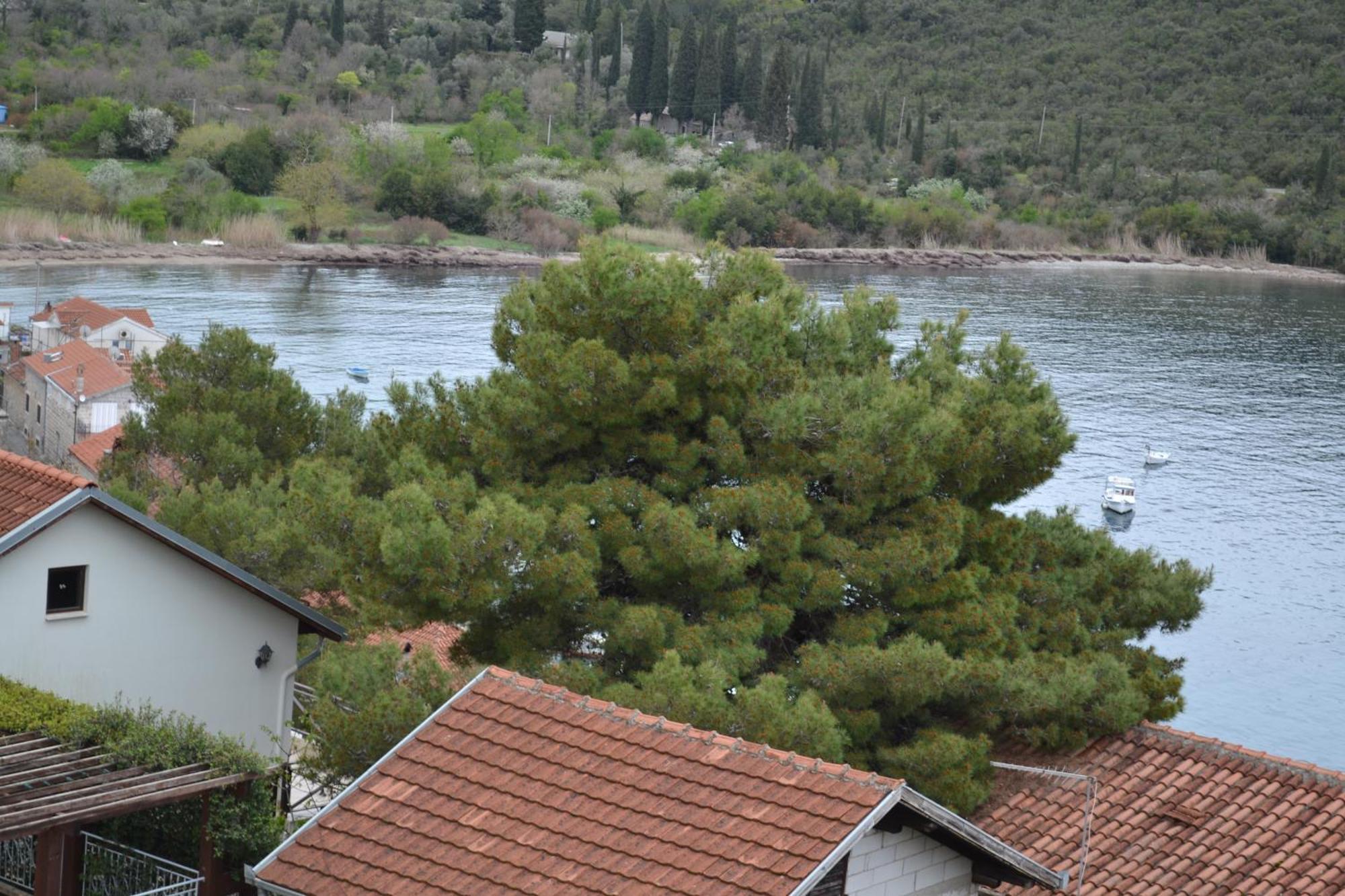 Suntime Villa 7 Tivat Exteriér fotografie